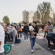 照母山金州公园人太多