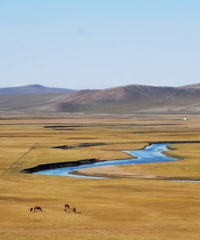 ���ױ���4���Σ�����������̫���˰ɣ�������ߣѱ¹�����鳬�ḻ