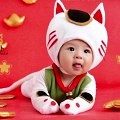 刚满百天的“招财猫”