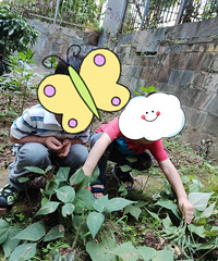 娃在读的幼儿园有沙池、菜地、大操场,老师也负责,马上转普惠啦