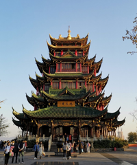 重庆也有不输北京秋色的免费观景好地方,视野绝了,有皇城那感觉
