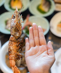 ��ҳ����������ͣ���һ���ԳԱ�100+��ɫ���