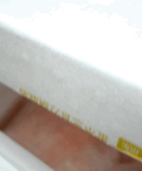 800Ԫһͷȫû뵽˴ͷֳ