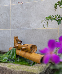 ���ԭ��366ƽ����֮�ң���ҵ�С��԰