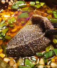 ��һ���������ܶ���Ի�������ų�Ѽ�������������е�Ѿ�