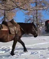 ½ԱѩͿݣѹ½ĿݷҪЩ