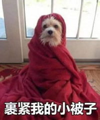 【今日值得买】怀梦时光加绒bra背心19