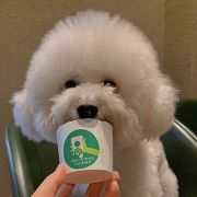 星巴克的宠物奶油免费