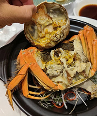 ֻ���Ҿ��ô�բз���Ѱ���ÿ�γԶ��о����鷳