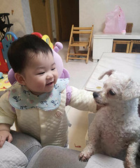 ҼСѺ͹ദܺгʱСѻҪ