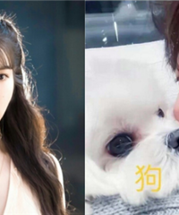 黄子韬高调告白iu,这波神奇操作有人支持,也有人骂他“丢人”