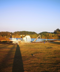 1个多小时就到的免费露营地,看星星、钓鱼、采菊花,太安逸了吧
