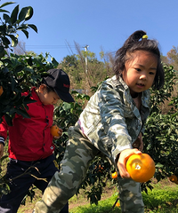 1Сʱ͵ũԱժ߳Գӣȥߵ㡢ˣˮ