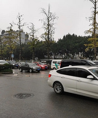 Ͽ·ĹΪɶô£˳Щԭ