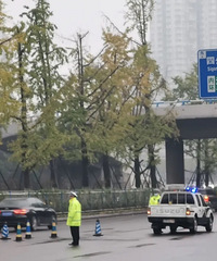 Ͽ·ĹΪɶô£˳Щԭ