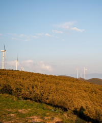 ¶Ӫǿõĵط˰ɣҰͣˣũ