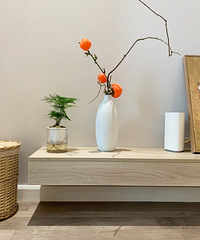 򵥡ʵáܰװ77ƽԭľ