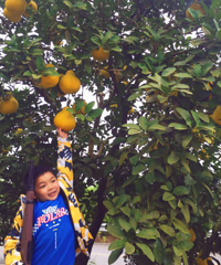 ÿ궼޶ժӣζܴ˵ӵݽ