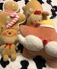 ������Ʒʥ����Ʒ����ʮ��Ǯ�����򵽵Ŀ���