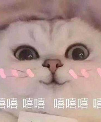 1年养生之路,我学会了这些