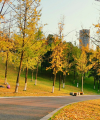 ��������̫�ʺ��������˰ɣ�һ��Ƭ�������˾�̾��������Tips