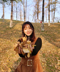 主城这太适合拍银杏了