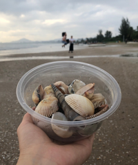去三亚度假,120块拍21张照片,太划算了吧,海鲜吃到饱