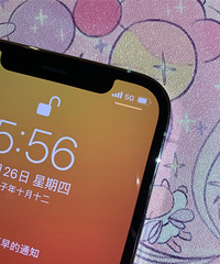 iPhone12pro�����Ų���ӭ����ϣ����ϵ������