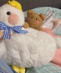 ����Ұ���������ɰ�����ˮ��