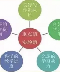 孩子总结他对班上学风的看法,班型很重要,楼梯理论让我大吃一惊