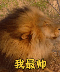 ���޷�������һ����ȫ���������޷����������ˣ�