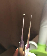 大家用过细胞夹夹黑头吗?想安利给毛孔粗大、黑头多的朋友们