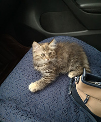 ԭè͵ˣһֻû뵽ԽԽ