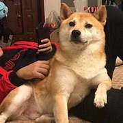 减肥后重回颜值巅峰