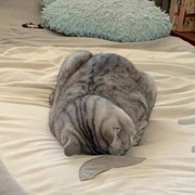 又到了脸冷的季节了