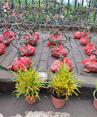 гݲݣСƷƿƿ޹޺ͼҾ