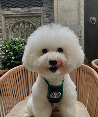 ҼҹȥǰͿ˳ѵĶͣջ˰