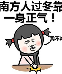怕冷星人报道:非严谨评测5款取暖电器,戴森、诺朗、美菱、格力