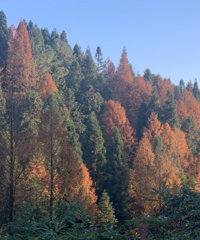 һˣ곤ٺ̫ɽƺճʺޡѰ