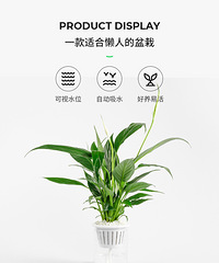 ��������ֲ�ﳬ��ֵ������Ǯ�򵽺ܺ����Ľ���ͷ�����