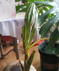 ŪҬҼһݵCλÿ쿴ɳҲȤ