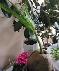 �������Ū��������Ҭ�����Ҽһ��ݵ�Cλ��ÿ�쿴���ɳ�Ҳ����Ȥ