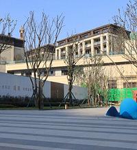 由黑转粉,入坑茶园中交漫山叠拼,垃圾场问题解决了,学区房真香