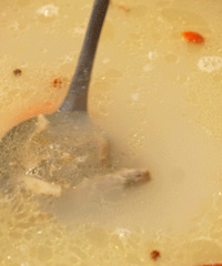 ҿ4СʱĵصȫƷζ˲ԭ