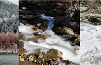 ﹵ĹɽҲ̫˰ɣ˻ҪС