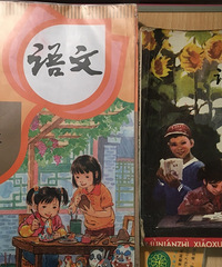 今天无意间对比发现我们以前小学课文都被删完了居然一篇不剩,牛