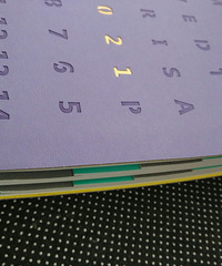 ����һ��ƻ��ֲᣬ����ֵ��ʵ�ã�������԰�������