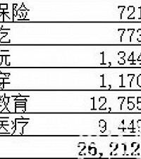 都说有了娃儿就变穷,其实加上幼儿园,我家娃一年才花了2万6