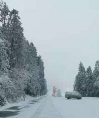仙女山今天下雪啦