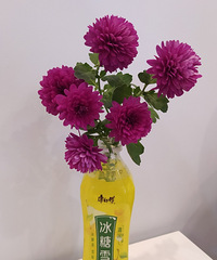 ���������������򻨡���ݮ�磬ϣ�����������Ĵ����и����ճ�